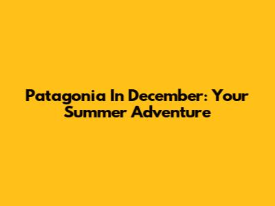 Patagonia In December: Your Summer Adventure